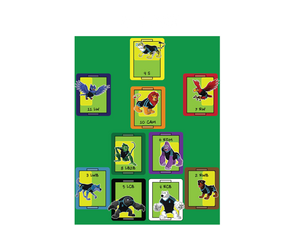 FLEX 11 (14 bands)