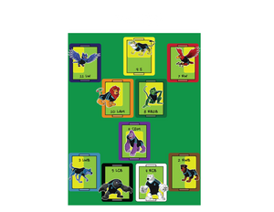 FLEX 11 (14 bands)