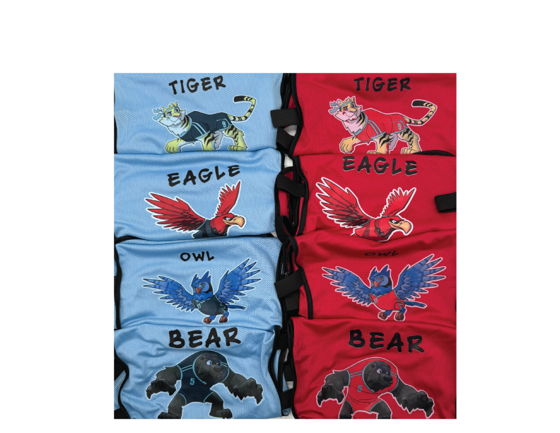 8 Pinnies