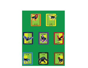FLEX 11 (14 bands)